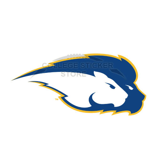 Design Hofstra Pride Iron-on Transfers (Wall Stickers)NO.4554